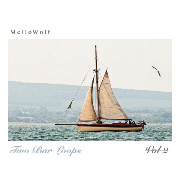 Two Bar Loops, Vol. 2 - EP
