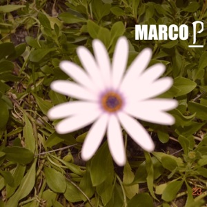 Marco P - EP