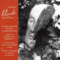 Ensemble Belcanto - Dietburg Spohr & Ensemble Belcanto