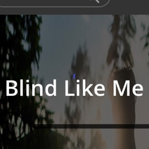Blind Travelers Network