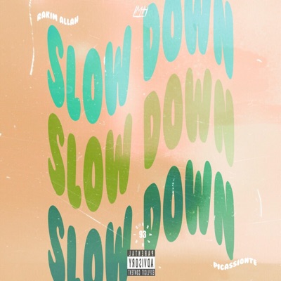 Slow Down (feat. Picassionte) - Single