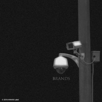 Brands (feat. Dustin NGO 春風) - Single - MAYonair