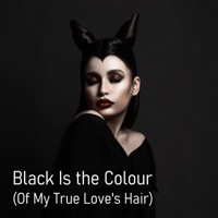 Black Is the Colour (Of My True Love's Hair) - Single - Dr. Kok