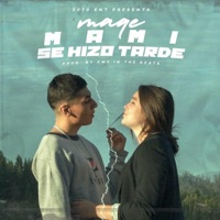 Mami Se Hizo Tarde - Single - Maqe