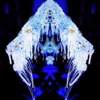 Winter Tape, Vol. 1 - EP - Mikal Jones & OKnice