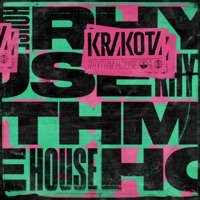 Rhythm House - Single - Krakota