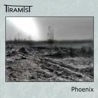 Sting Like a Bee — Tiramist