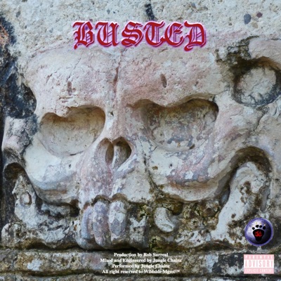 Busted - Single