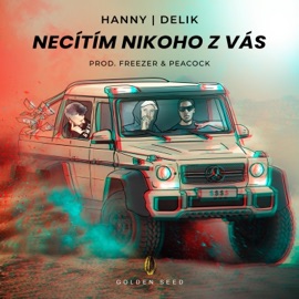 Necítím nikoho z vás (feat. Delik) Hanny