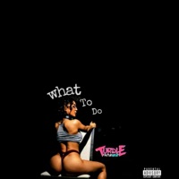 What to Do (feat. CB, Tray B & Tee Stone) - Single - Turdle