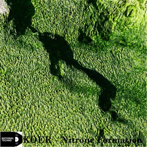 Nitrone Formation - Single