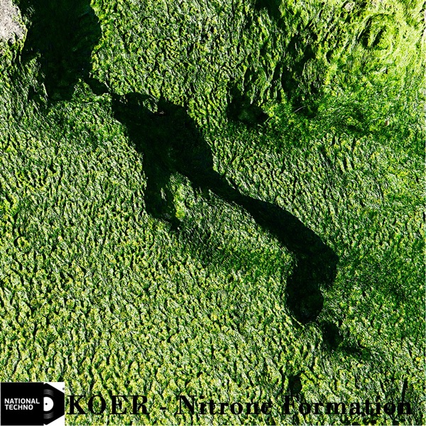 Nitrone Formation - Single