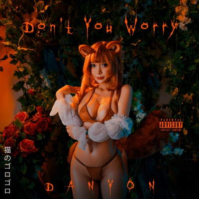 Don't You Worry - Single