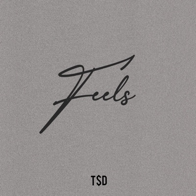 Feels (feat. Burn TBA, Kay-T, A-Clipse & Freddy Hayz) - Single