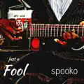 Just a fool