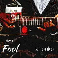 Just a fool — Spooko