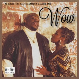 Wow (feat. Nakeeba Amaniyea & Asante Amin) Mic Blaque