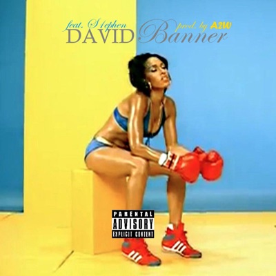David Banner (feat. S1ephen) - Single