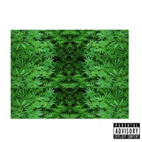 Yo Quiero Fumar - Single - Hemafia