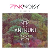 Ani Kuni (Remixes) artwork