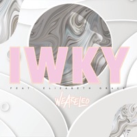 IWKY (feat. Elizabeth Grace) - Single - We Are Leo