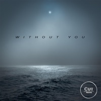 Without You - Single - BJ Bied
