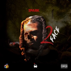 Loaded (feat. SG Tip) $park