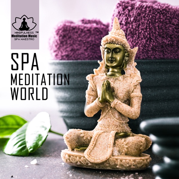 Spa Meditation World - Collection of Soothing Spa Music: Renew, Reflect & Relax into Perfect Balance