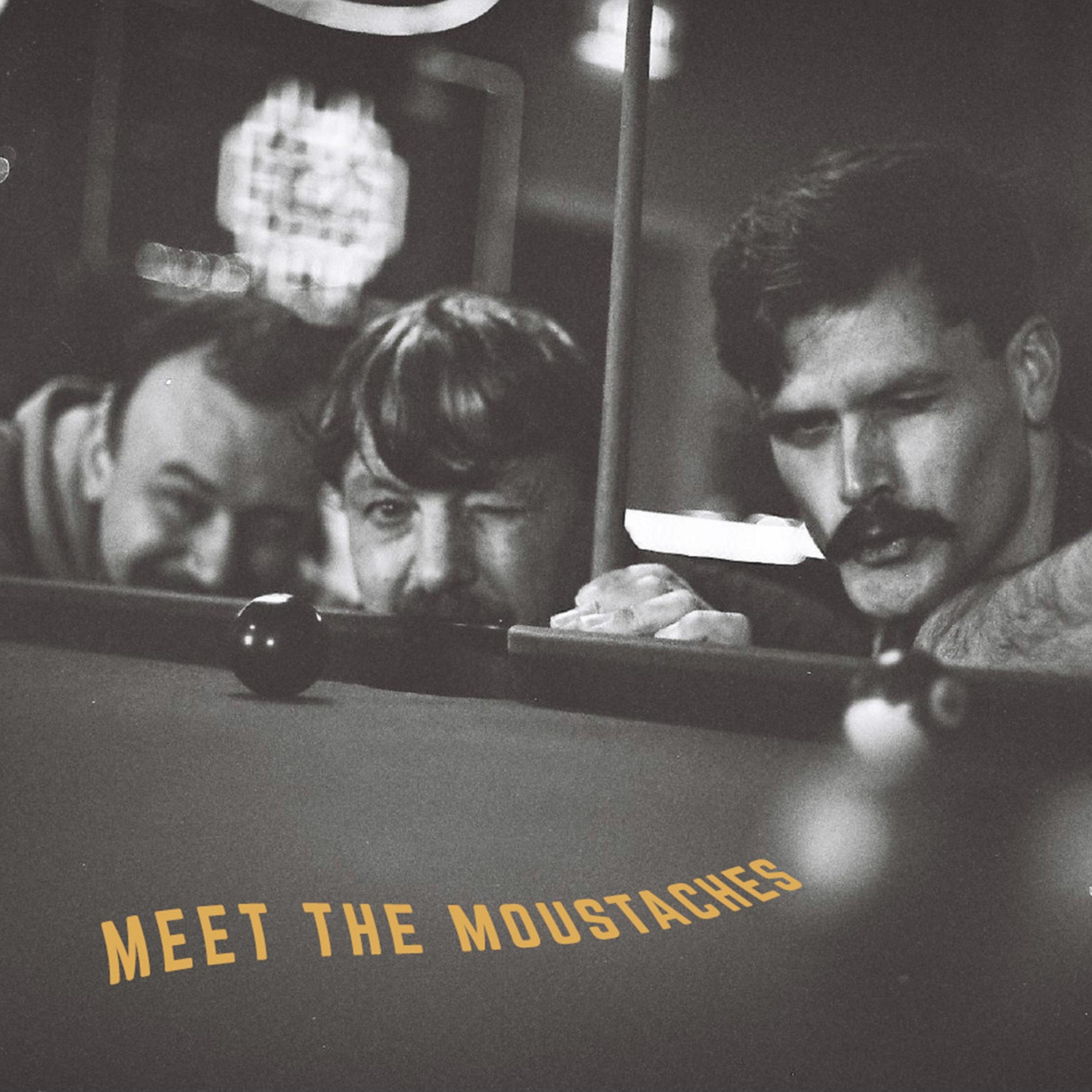 Meet the Moustaches