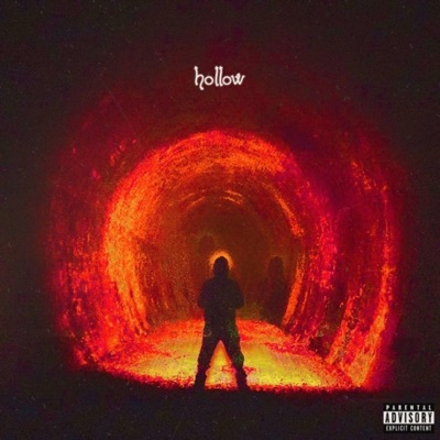 Hollow - Single