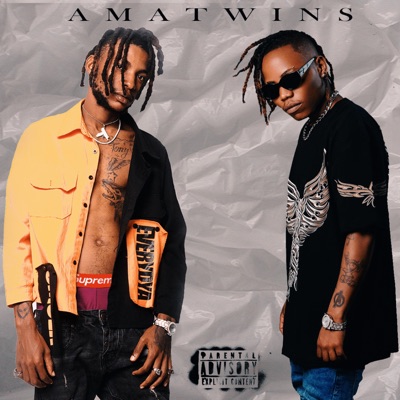 AmaTwins