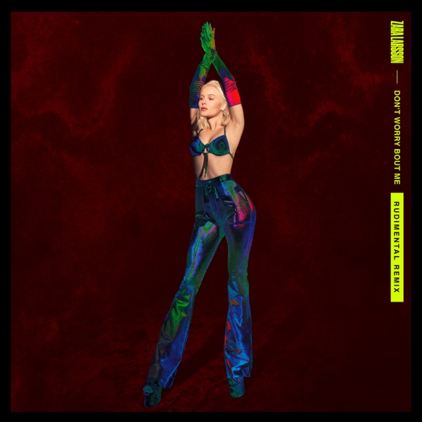 Don't Worry Bout Me (Rudimental Remix) - Single - Zara Larsson & Rudimental