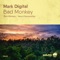 Bad Monkey - Mark Digital lyrics