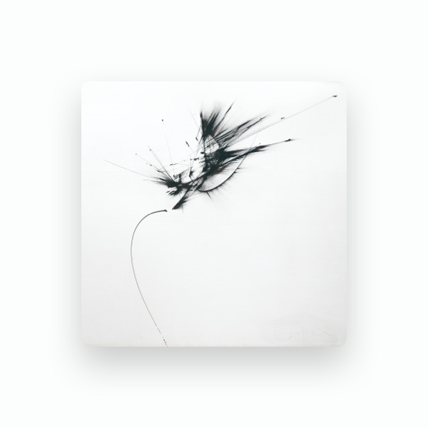 Abel Tomàs's avatar