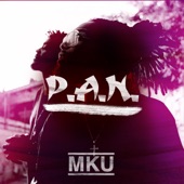 P.A.N. artwork