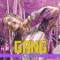 Gang (feat. Steezy) - Lil Mag lyrics