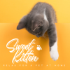 Sweet Kitten – Relax for a Pet at Home - Various Artists