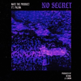 No Secret (feat. Palma) N8TO19