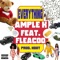 Everything (feat. Fleacoo) - Ample K lyrics