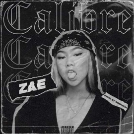 Calibre ZAE