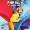 Pınar Aylin - Deliler Gibi