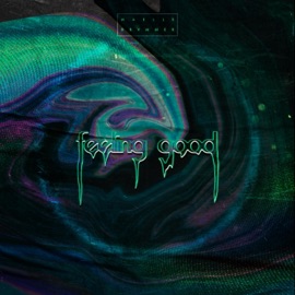 Feeling Good (feat. Drvmmer) Maelle