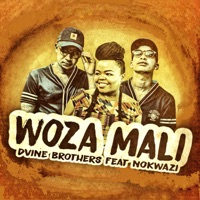 Woza Mali (feat. Nokwazi) - Single - D'vine Brothers
