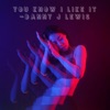 You Know I Like It - Single