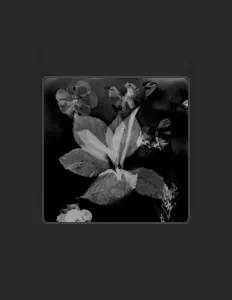 Escucha a Louza, mira videos musicales, lee su biografía, consulta las fechas de las gira y más.