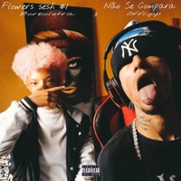 Flowers Sesh #1 - Não Se Compara (feat. @borboletra) - Single - Offlipp