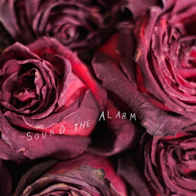 Sound the Alarm - Single
