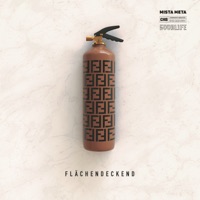 Flächendeckend - Single - Mista Meta