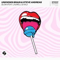 Slow (feat. Laurell & Haj) - Single - Unknown Brain & Steve Andreas