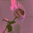Dead Roses (feat. Bigmike)